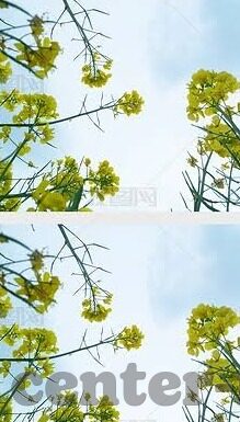 麻豆视频导航大全-探索麻豆视频导航大全，重塑娱乐视野的多元平台